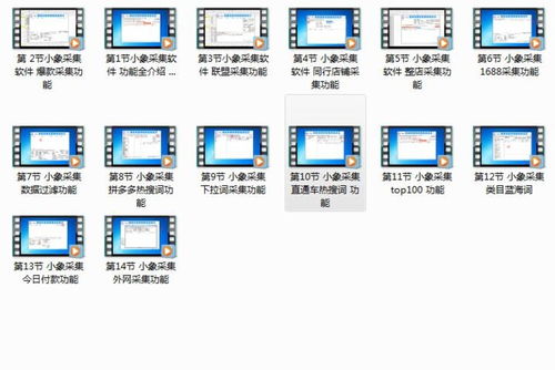 小象搬家與上貨代購(gòu)軟件 賦能拼多多無貨源店群項(xiàng)目的技術(shù)利器與招商機(jī)遇